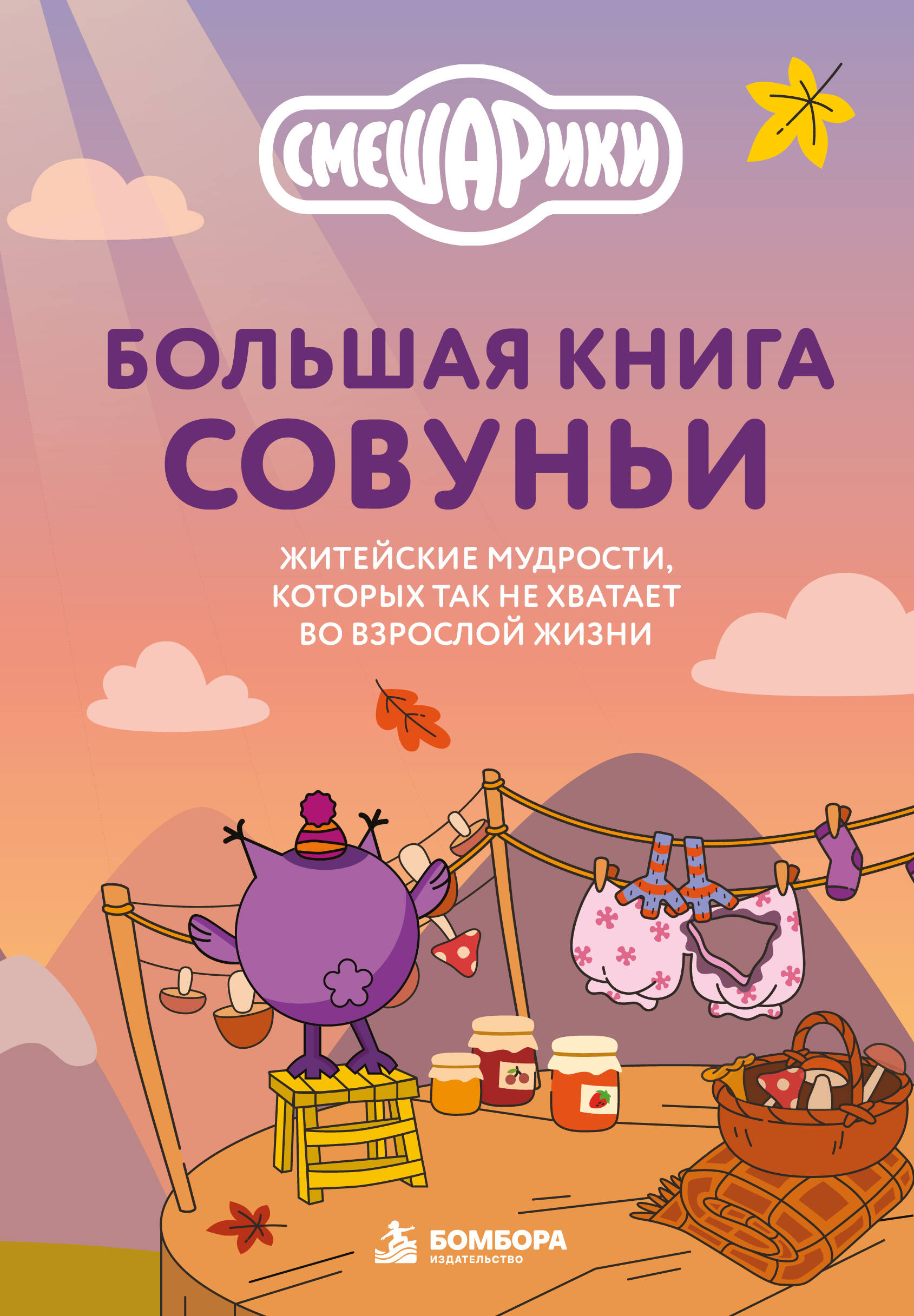 Обложка Большая книга Совуньи. Житейские мудрости, которых так не хватает во взрослой жизни